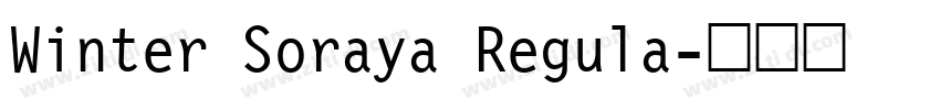 Winter Soraya Regula字体转换
